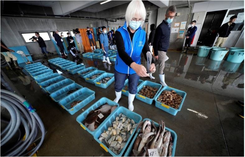 یکی از اعضای تیمی از کارشناسان آژانس بین‌المللی انرژی اتمی ماهی‌ها را در یک حراج صبحگاهی در بندر هیسانهاما در ایواکی، استان فوکوشیما در 19 اکتبر مشاهده می‌کند.